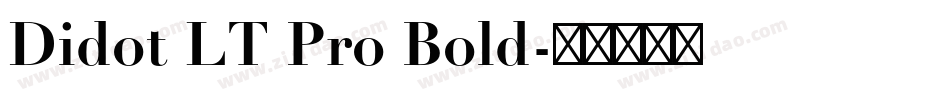 Didot LT Pro Bold字体转换